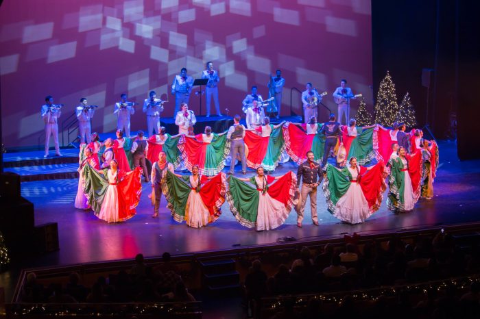 La nochebuena de encarnación mendoza