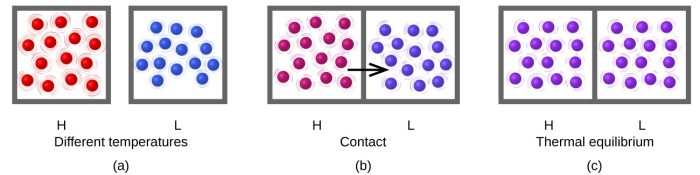 Equilibrium state between steady energy thermal temperature chemistry heat difference chem atoms basics exothermic endothermic different transfer figure molecules hot