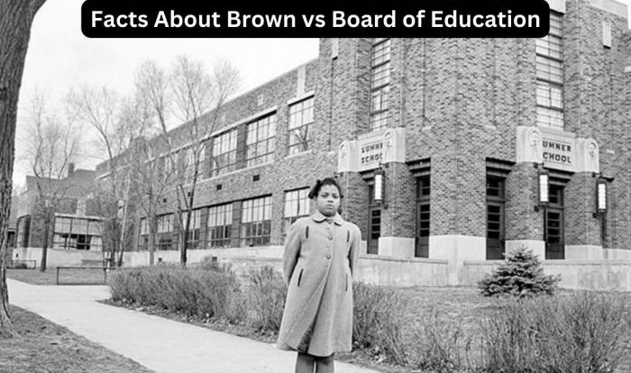 Brown vs board of education worksheet pdf