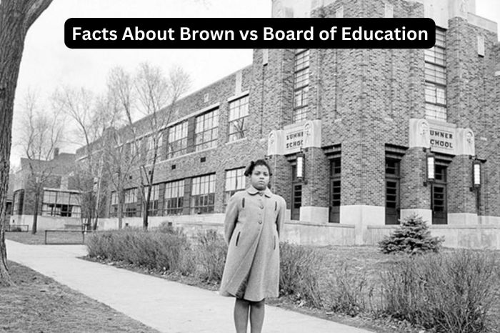 Brown vs board of education worksheet pdf