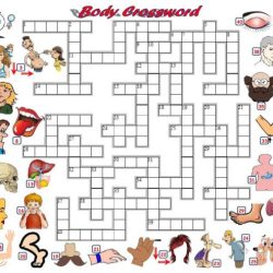 Trunk of the body crossword