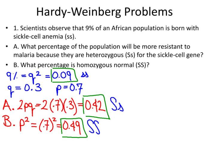 Hardy weinberg problems answer key