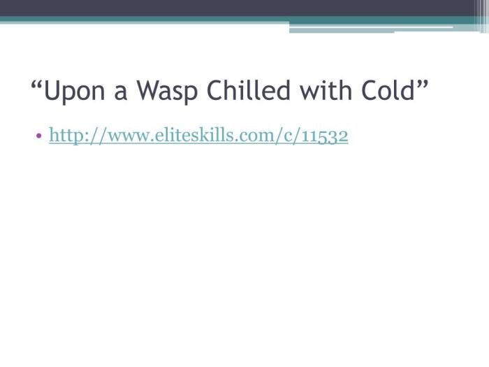 Upon a wasp chilled with cold