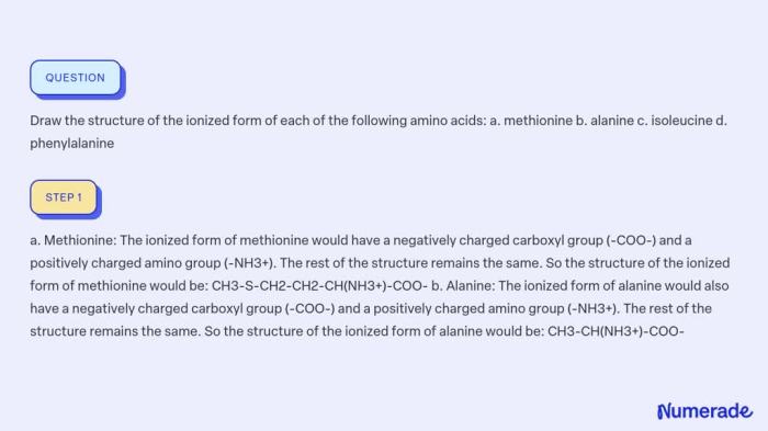 Write the structure of the ionized form of phenylalanine