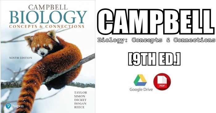 Campbell biology concepts and connections 8th edition