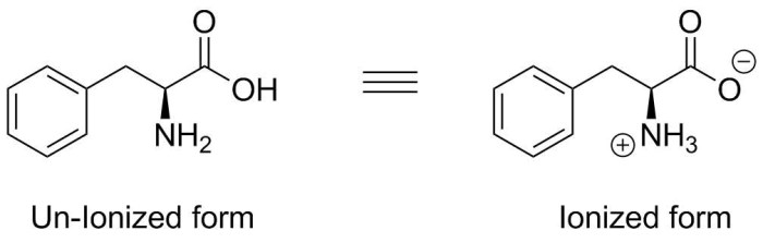 Write the structure of the ionized form of phenylalanine