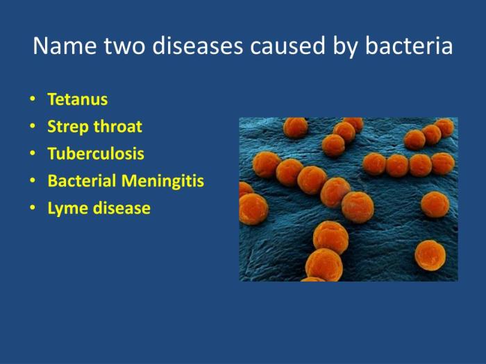 All of the following diseases are caused by arbovirus except