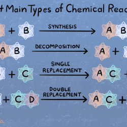 Five types of chemical reaction worksheet